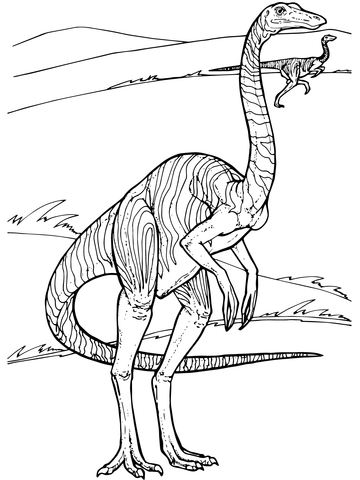 Gallimimus Dinosaur Coloring Page